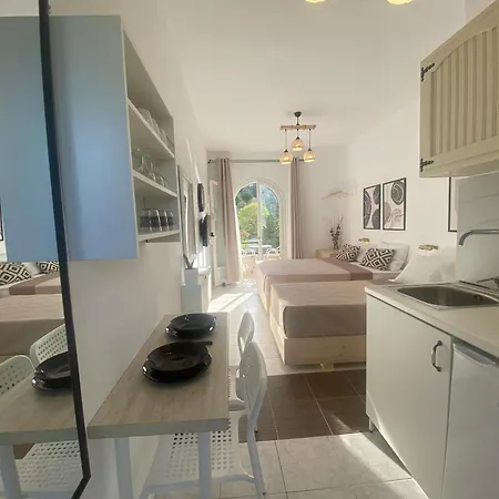 Ameli ,balcony With Mountain View, Kitchenette, 1km To By Likeyourhome *